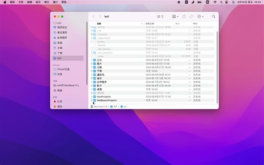 5-3 MacOS NetBeans22 开发工具卸载