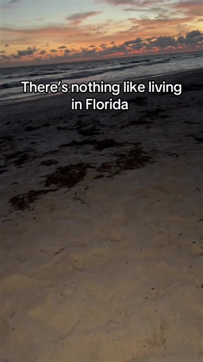 fruitgal777 on TikTok