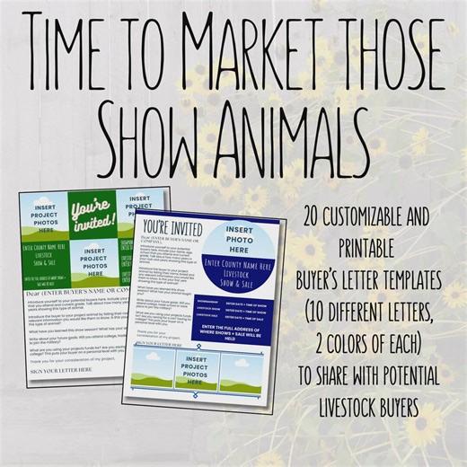 Livestock Buyer Letter Templates | 20 Canva Editable Designs (agriculture Youth) - Etsy