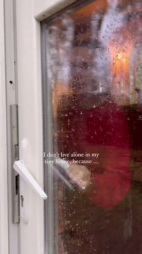 1.3M views · 6.5K reactions | Witness a cartoon moment come to life  Isn't this just the coolest thing ever? Via @hannelivesonwheels Get ready for Tiny House Builder Expo 2024! Sign up to our newsletter for more tiny home inspiration, live workshops, and a wealth of resources. Hit the link in the comments to subscribe now!  | Tinyhouse.com | Facebook