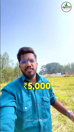 How To Start RAGI Farming ? 🌾 #farming