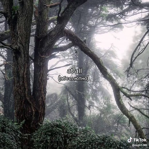 Blackbear - idfc Song Remix Video