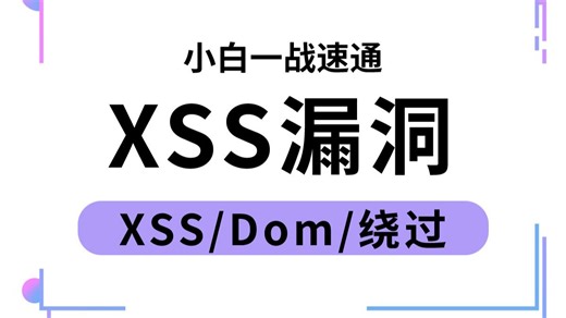 仅一天教会你什么是xss漏洞，包教包会，不会来找我！原理实战教程都有！非常详细【网络安全】