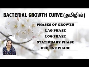 Bacterial Growth Curve (Tamil) - Lag phase / Log phase / Stationary phase / Decline phase