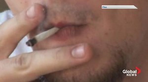 NS cannabis micro-producer Jazz Cabbage