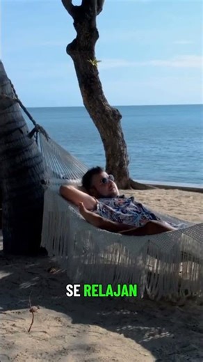 Did you know cows have musical taste? 🐄🎵 The incredible connection between music and animals 🎶