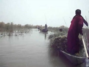 اهوار جنوب العراق ( المبدع عدنان الكعبي )