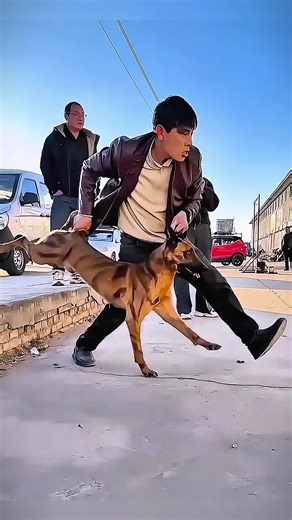 Understanding India's Nipah Virus Outbreak and Risks