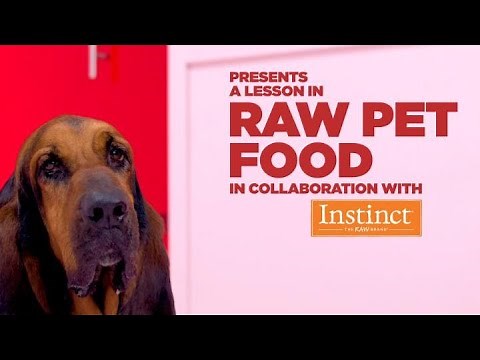 A Lesson in Raw Pet Food | Petco & Instinct