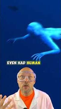 The Japanese ningen