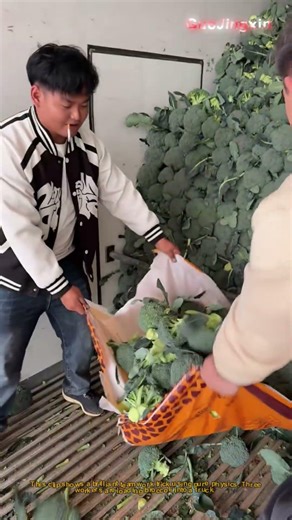 Farm Hack: The Inertia Trick for Loading Veggies Fast!