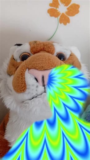 somthinsmellsFISHY (@somthinsmellsfishy)’s videos with original sound - somthinsmellsFISHY