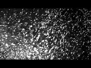 Free fullHD video effect, dust, particles, texture footage 01