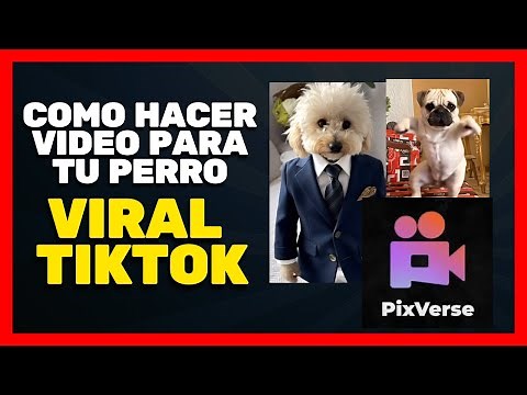 🔥 CÓMO HACER VIDEO DEL PERRO BAILANDO CON PIXVERSE IA ✅ EFECTO VIRAL EN TIKTOK ✅ Calle pero Elegante