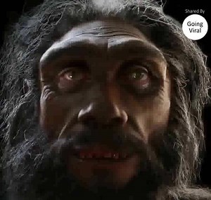 The Evolution of Man's Face Over The Course Of 6 Million Years | Going viral