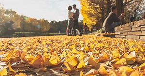 A Crash Course in Low Angle Photo Composition