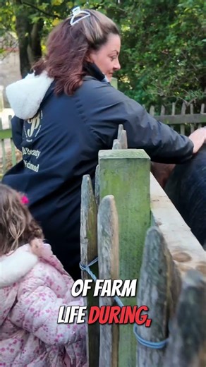 A Glimpse into 1950s Farm Life! #shorts