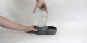 How Those Pet Bowls That Seem To Defy Gravity Actually Work