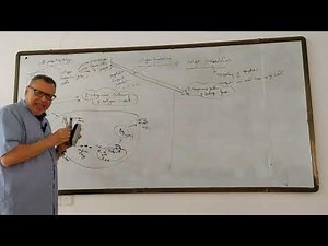 Antigen processing & presentation