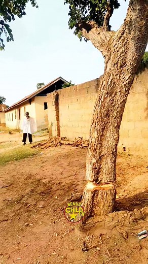 Baba finally accepted to behave himself before the reverend after the gods got angry at him and even insulted him 🤣🤣🤣 Please watch to end and don't forget to share. #deception #revenge #infidelity #movie #shortstory #wednesdaynight #fiction #conflict #match #charityevent #soccermatch #suport #comedy #viral #fyp #funny #love #humor #relatablecontent #baptism #traditional | BENUE CHILD TV