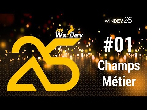#01 - WinDev 25 - Champs Métier