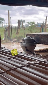 65K views · 1.2K reactions | Nejatt Mnt Cheikhne on Reels | Facebook