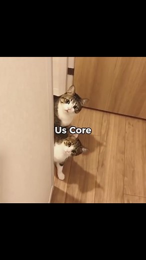 🥔 on Instagram: "Us core