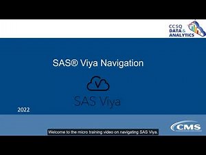 SAS Viya Studio Autoexec Macro Training