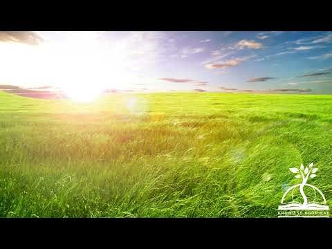 Healing Piano Worship Volume 4 - Gentle Christian Piano for Rest, Prayer & Healing