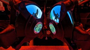 Even lab mice are getting VR headsets now