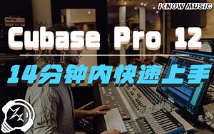 【中文字幕】14分钟内快速上手 Cubase Pro 12