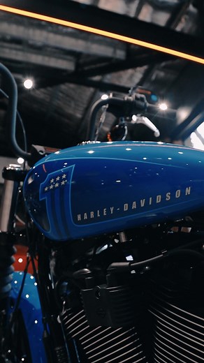 HarleyHeavenAU on TikTok