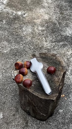 11K views · 64 reactions | Easily open chestnut shells | Hardware Tools | Facebook