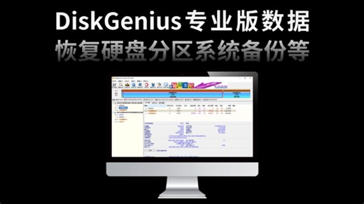 DiskGenius单文件专业版，数据恢复软件，硬盘分区工具，系统备份软件！！