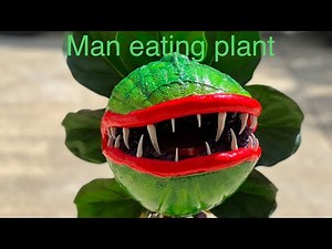 Man eating plant DIY like Little Shop of Horrors