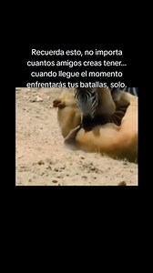 147K views · 1.4K reactions |  ¿Crees que tienes amigos? La Matrix...