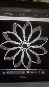 amazing geometry using the python turtle coding