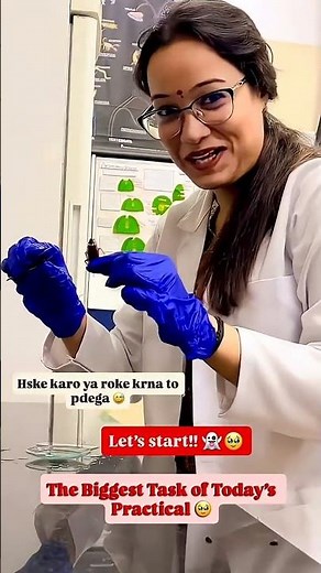 Dissection Diary of Cockroach 🪳 #dissection #exploring #scienceexperiment #practical