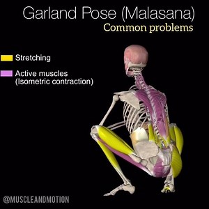 816K views · 507 reactions | Garland Pose (Malasana) Step-by-Step...