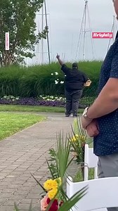 789K views · 8.8K reactions | This flower man understood the assignment at his cousin’s wedding  https://gma.abc/3oi3KPk | Good Morning America | Facebook