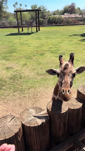 Explore Arizona's Wildlife World Zoo and Aquarium