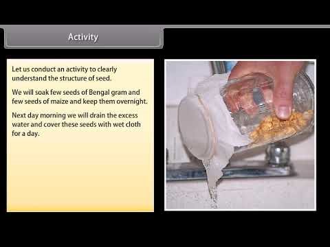 How Do Organisms Reproduce-II Bio 8