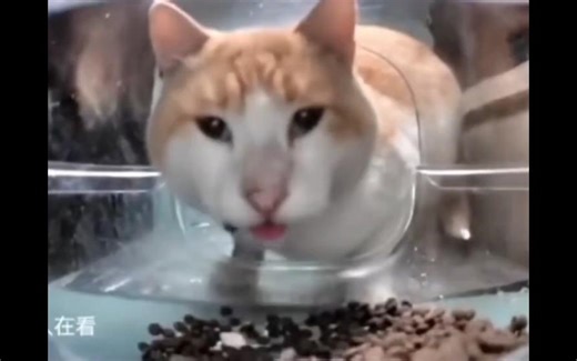 RossDraws数字绘画训练营大师班视频课程合集\Quicktiques-8.1-8.2