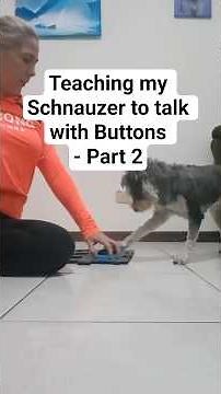 My Schnauzer’s New Word: PLAY! | Talking Dog Buttons