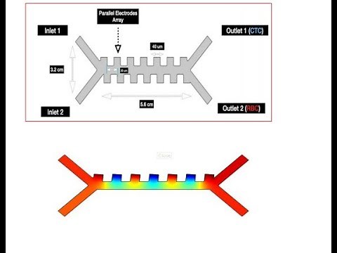 MICROFLUIDIC BASED DIELECTROPHORESIS CELL SORTER | #finalyearprojects 2020