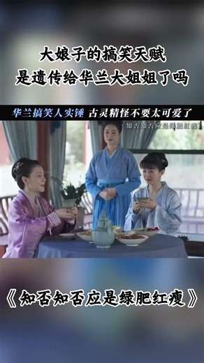 大娘子的搞笑天赋是遗传给华兰大姐姐了吗 #知否 #知否知否应是绿肥红瘦 #赵丽颖 #冯绍峰