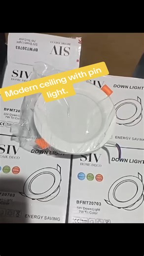 Enhance Your Space with Modern Ceiling Pin Lights