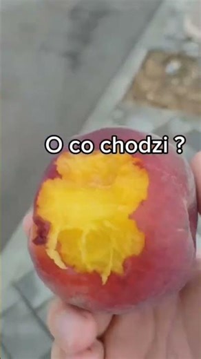 Ciekawe co jest nie tak ? #drogadochorwacji #chorwacja2026 #smakiChorwacji