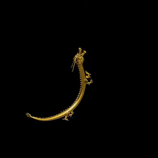 Only 50usd!!! Unique holographic dragon animation 3d video for hologram fan using