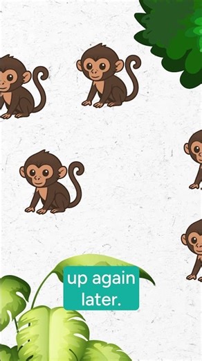 Modelling Spider Monkey Collective Information Sharing